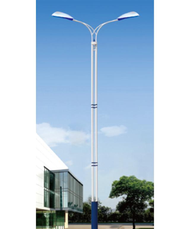 照明路灯ZMLD-009